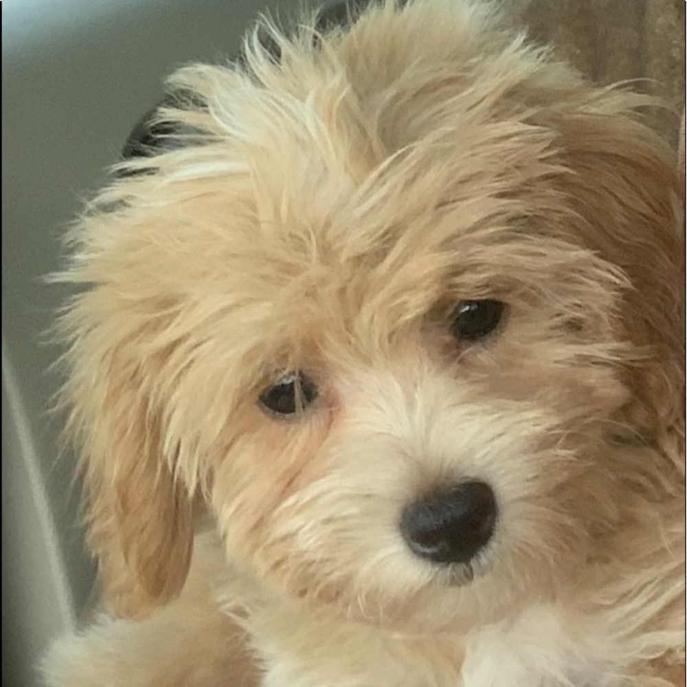 I 💗 Reasonable Offers & Bundles